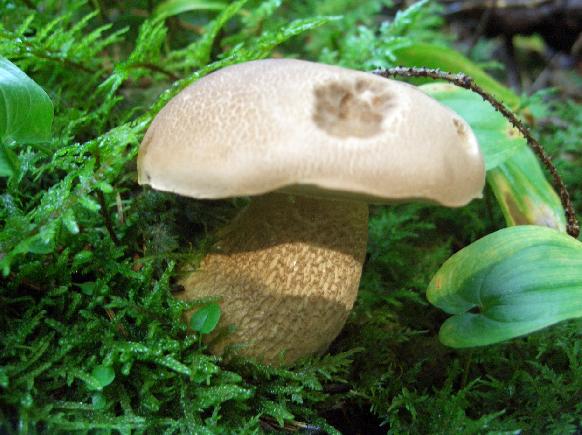 Escursione 11/08/2009